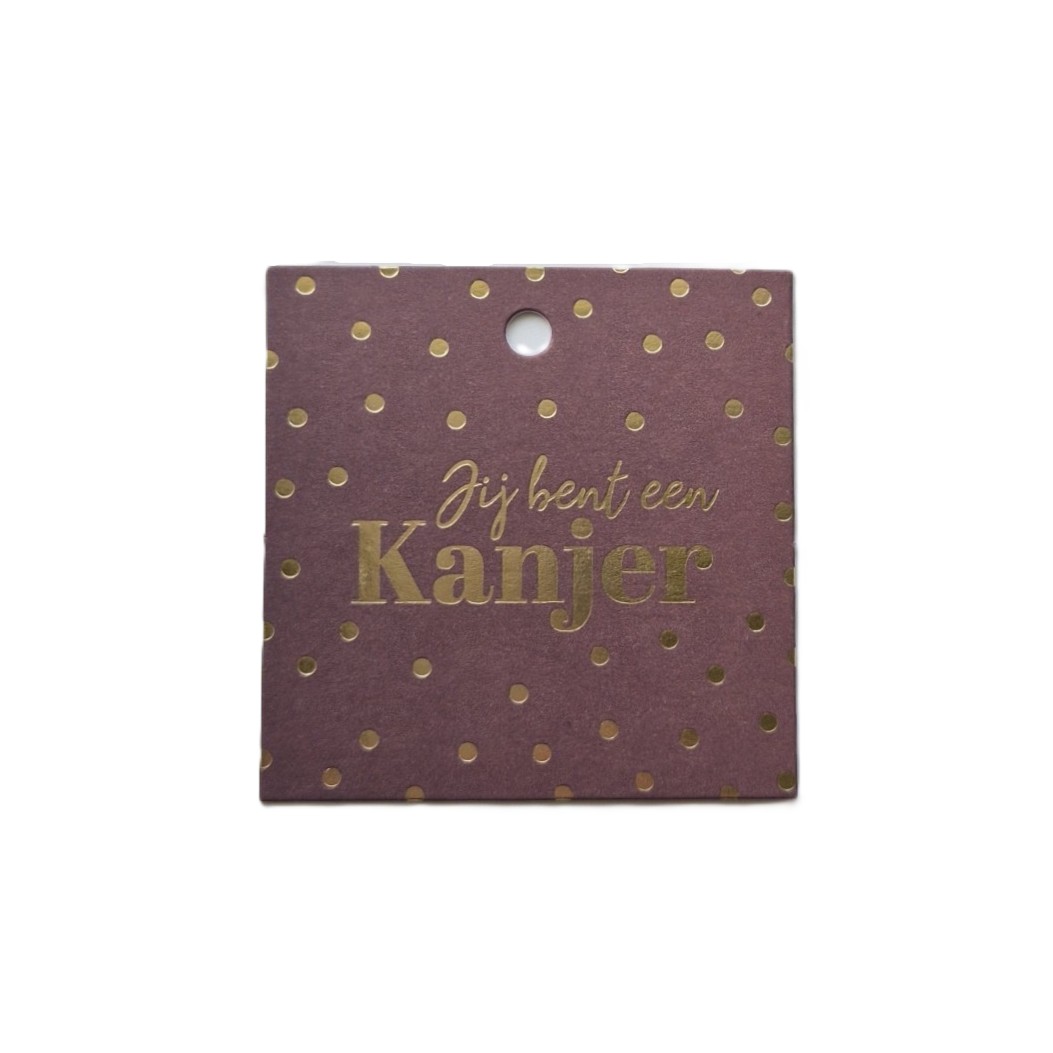 Cadeaulabel Jij bent een kanjer