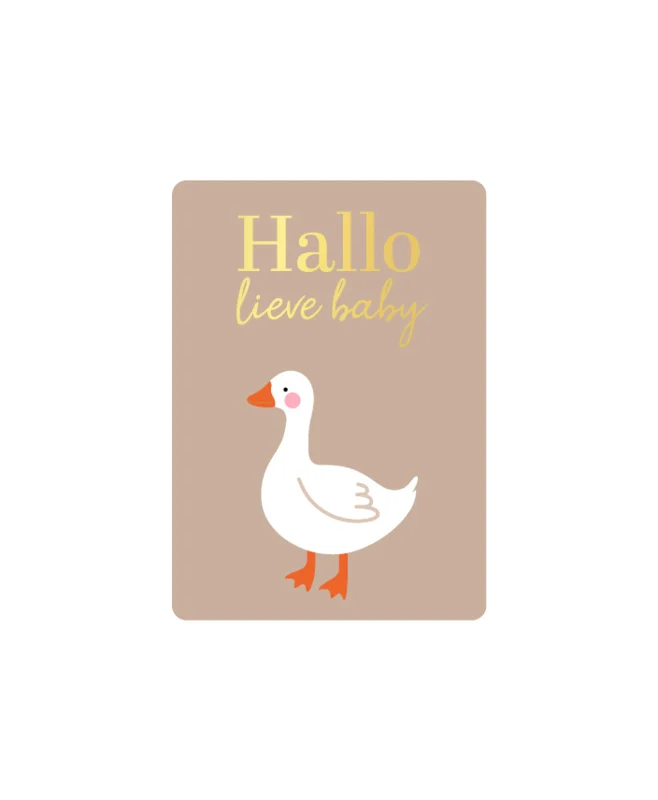 Minikaart Hallo lieve baby